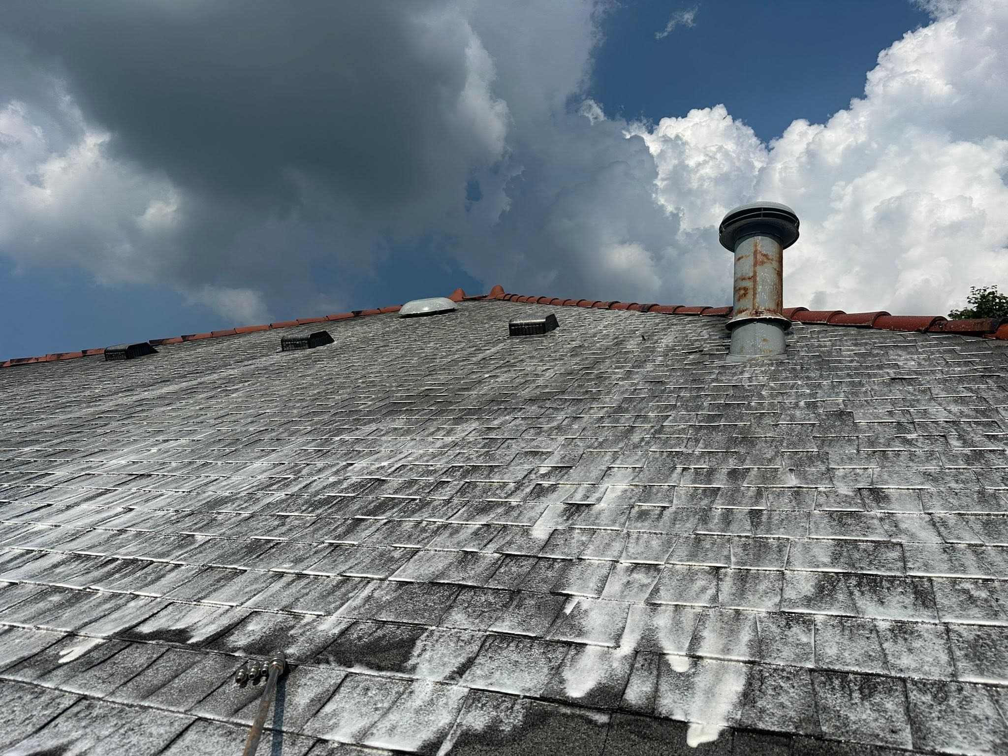 Soft-wash solution working on a streaked shingle roof during a roof wash